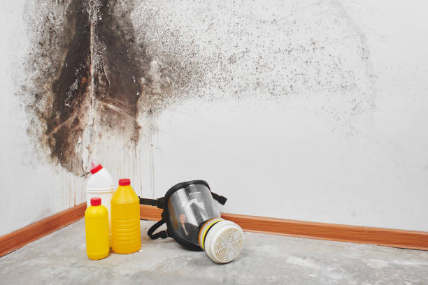 Best Office Mold Removal Services  in Sultana, CA