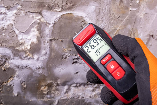 Best Mold Remediation Experts  in Sultana, CA